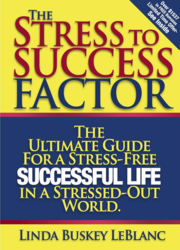 entrepreneurship, dealing with stress,